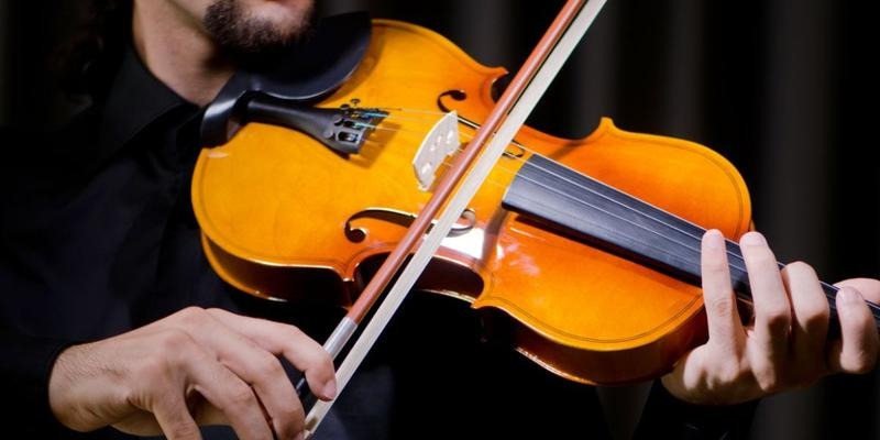 Ile kosztują skrzypce? Ceny nowych i używanych instrumentów
