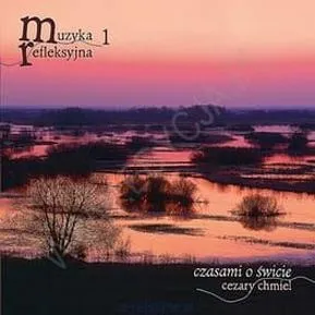 Muzyka, która daje do myślenia: teksty piosenek, które odkrywają emocjonalne przesłania
