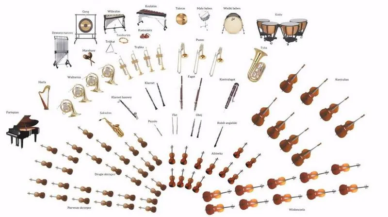 Instrumenty muzyki klasycznej