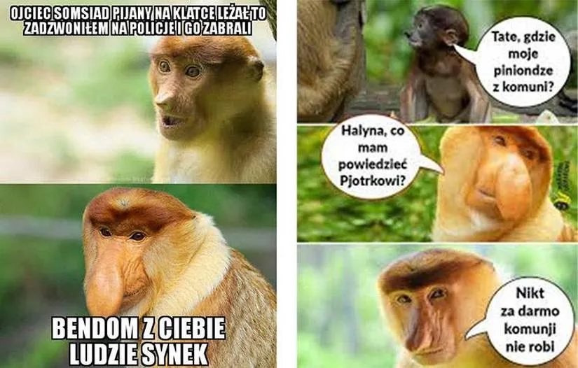 Janusz i Grażyna