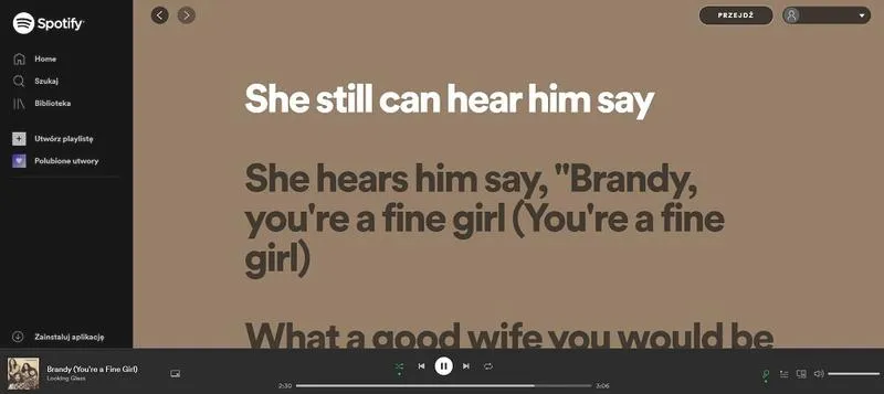 Muzyczne doświadczenie w Spotify