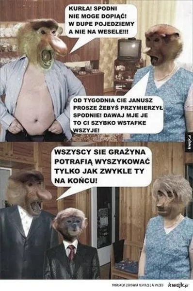 Popularność w Polskim Radio