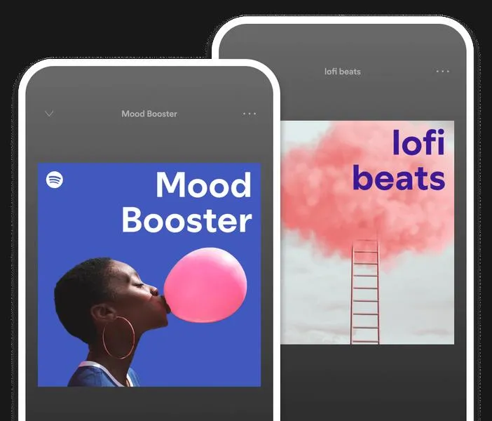 Spotify Duo