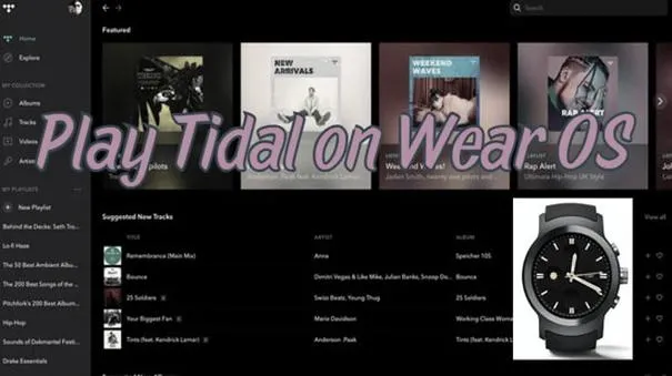 Tidal pliki offline