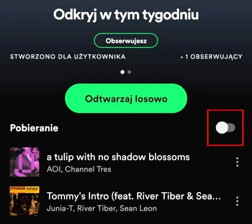 Tłumaczenie tekstów piosenek